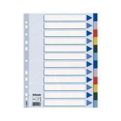Regiszter műanyag A4, 12 részes Esselte Regiszter Esselte
