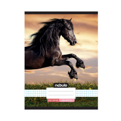 Füzet, A4, kockás, 87-32, L-Design minták, 12 db/csomag Nebulo Iskolai füzet Nebulo