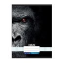 Füzet, A4, kockás, 87-32, Xtreme minták, 12 db/csomag Nebulo