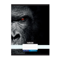 Füzet, A4, kockás, 87-32, Xtreme minták, 12 db/csomag Nebulo Iskolai füzet Nebulo