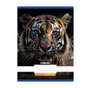 Füzet, A4, sima, 80-32, Állatos minták, 12 db/csomag Nebulo