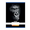 Füzet, A4, sima, 80-32, Állatos minták, 12 db/csomag Nebulo