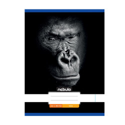 Füzet, A4, sima, 80-32, Állatos minták, 12 db/csomag Nebulo