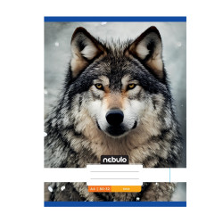 Füzet, A4, sima, 80-32, Állatos minták, 12 db/csomag Nebulo