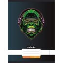 Füzet, A4, sima, 80-32, Xtreme minták, 12 db/csomag Nebulo