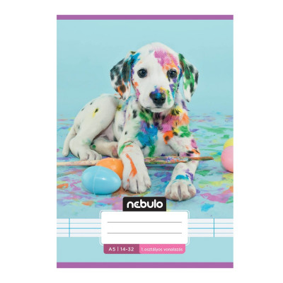 Füzet, A5, 1. osztályos vonalas, 14-32, Cuki minták, 16 db/csomag Nebulo
