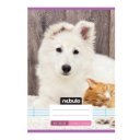 Füzet, A5, 2. osztályos vonalas, 16-32, Cuki minták, 16 db/csomag Nebulo