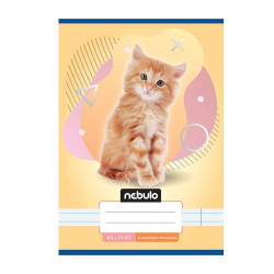 Füzet, A5, 4. osztályos vonalas, 21-32, Állatos minták, 16 db/csomag Nebulo Iskolai füzet Nebulo