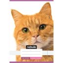 Füzet, A5, 4. osztályos vonalas, 21-32, Cuki minták, I., 16 db/csomag Nebulo