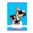 Füzet, A5, 4. osztályos vonalas, 21-32, Cuki minták, II., 16 db/csomag Nebulo