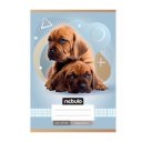 Füzet, A5, kockás, 27-32, Állatos minták, 16 db/csomag Nebulo