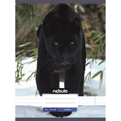 Füzet, A4, vonalas, 81-32, Állatos minták, 12 db/csomag Nebulo Iskolai füzet Nebulo