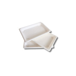 Papírtálca 185 x 128 x 20mm komposztálható cukornád 50 db/csomag Street food - party kellékek Egyéb