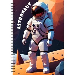 Határidőnapló InSpiral A5 heti, fehér lapokkal Astronaut Dayliner 2026. Határidőnapló Dayliner