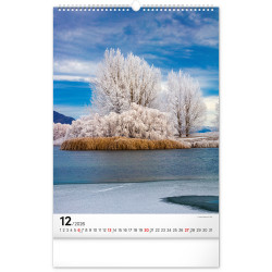 Falinaptár képes  330×460mm Trees  Realsystem 2026. Falinaptár Realsystem